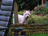 Klik op de foto voor groter formaat